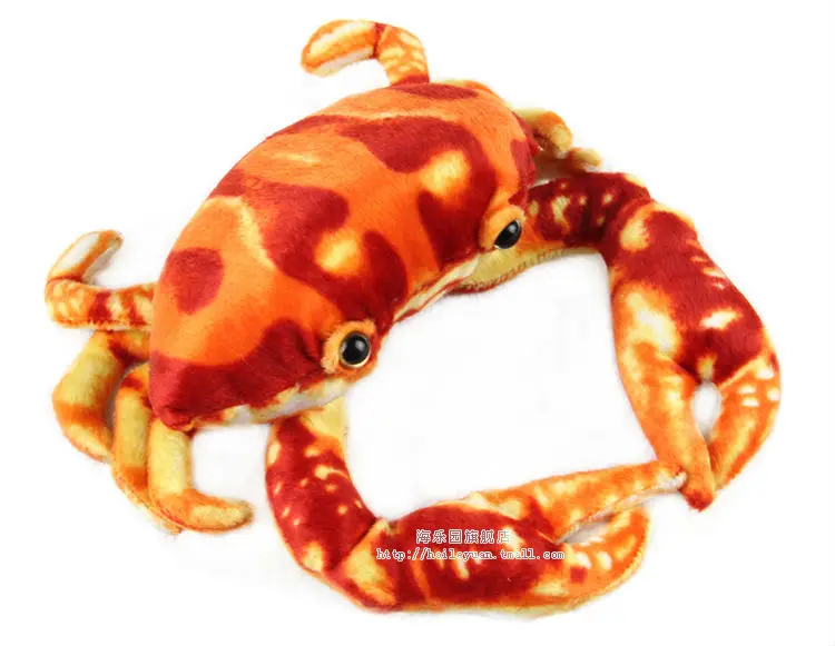 crab 01