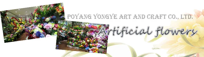 banner yongye