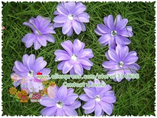 DSCN9781.jpg