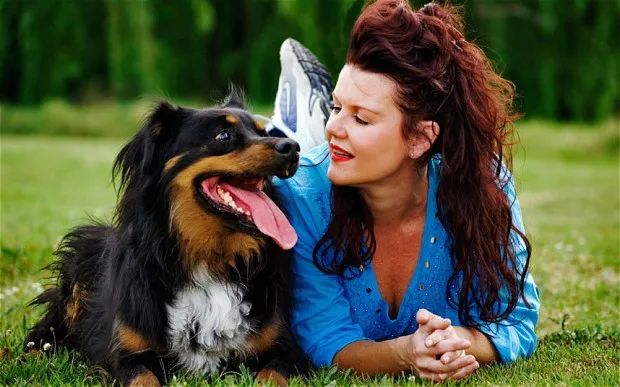 dog_2767179b.jpg