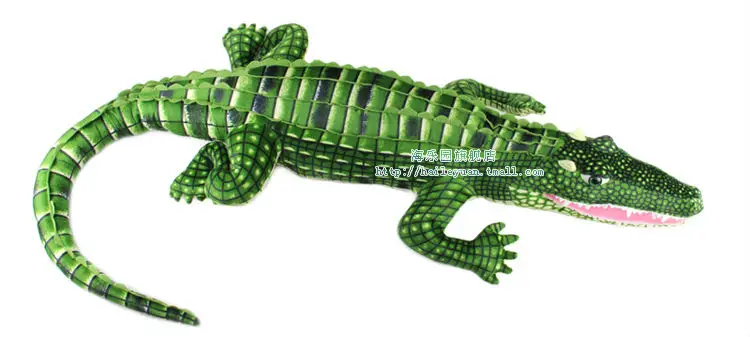 crocodile 03
