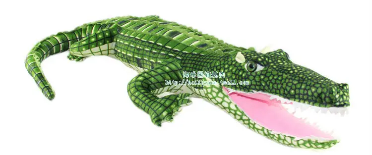 crocodile 04