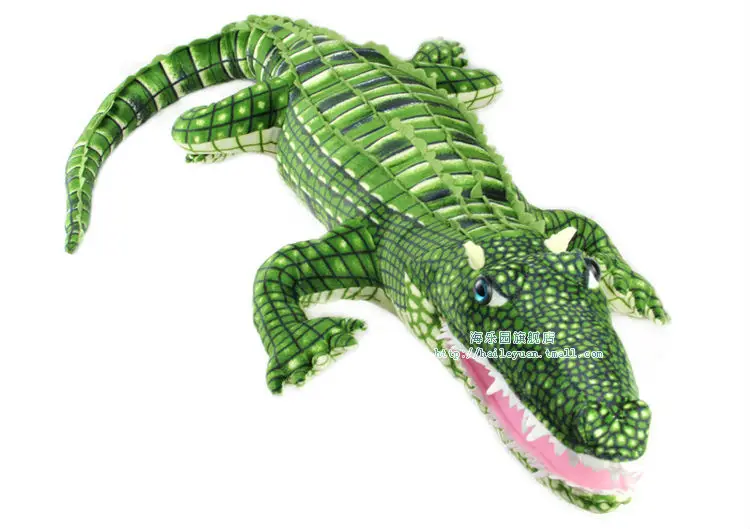 crocodile 05