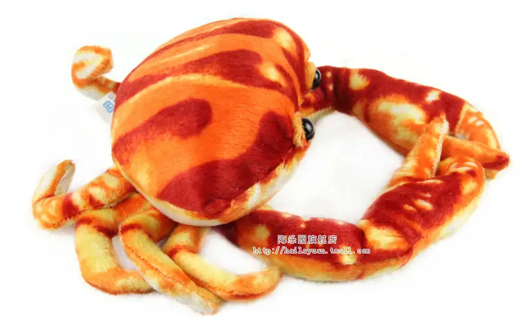 crab 02