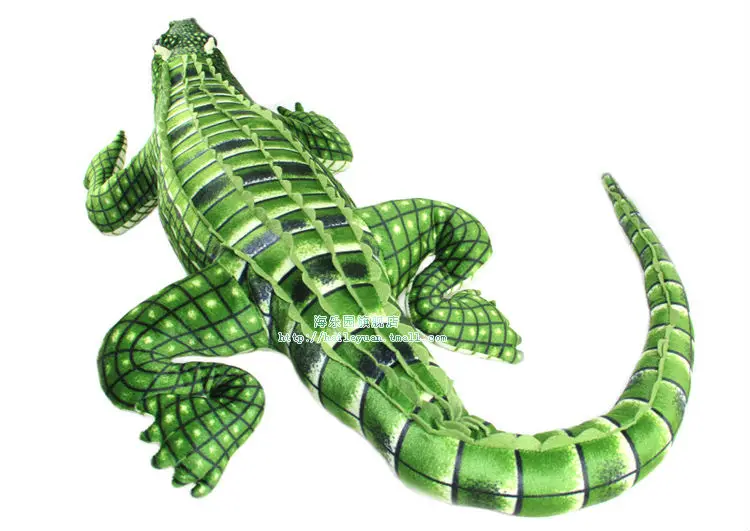 crocodile 06