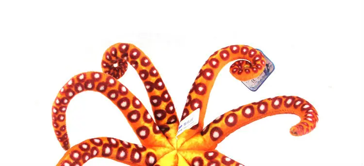 octopus 12