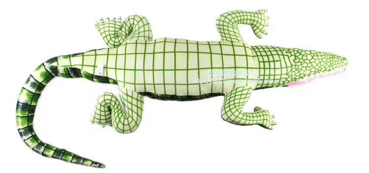crocodile 07