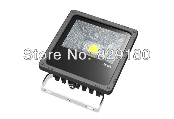 FL-20w
