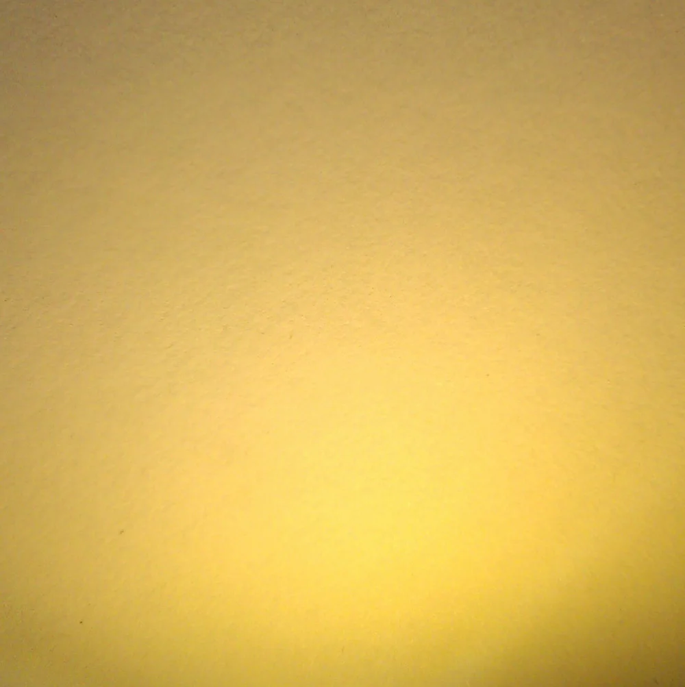 IMAG0995