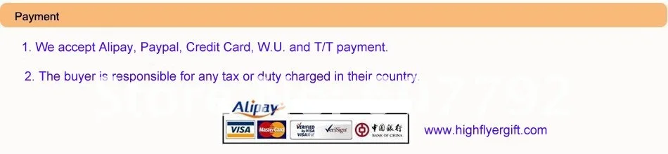 payment11