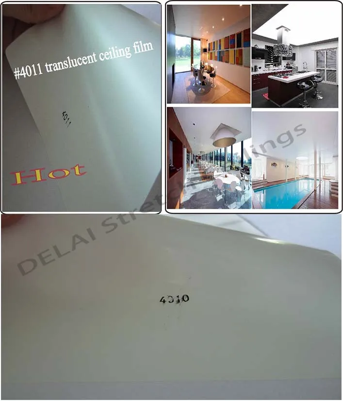 #4011 translucent ceiling film.jpg 2