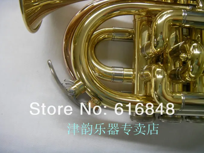 SDC15854.jpg