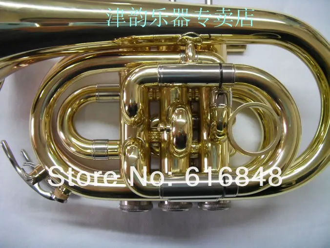 SDC15866.jpg