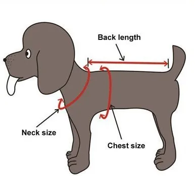 dog size