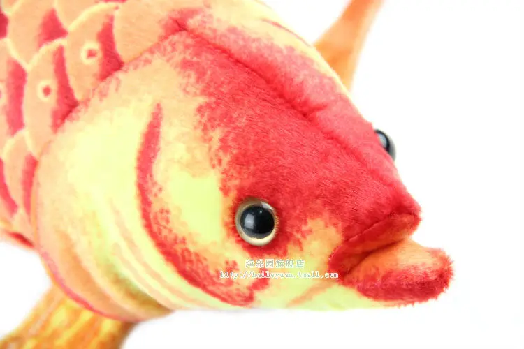 gold arowana 07