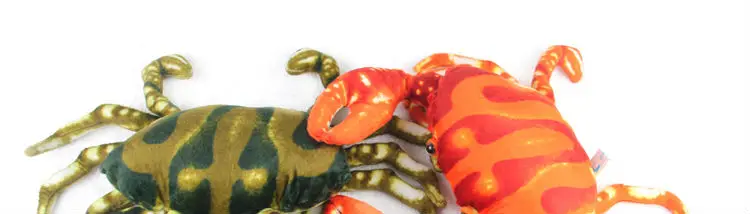 crab 08