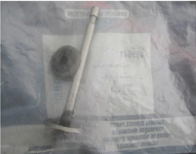 INTAKE VALVE BRIGGS&STRATTON 499641 1