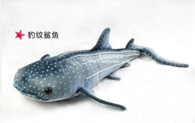baowen shark 01