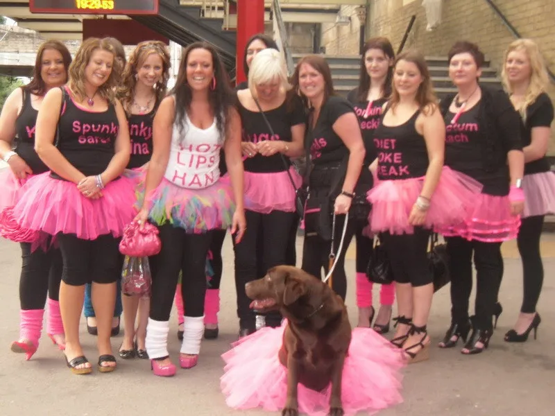 Bachelorette Party Las Tutu Skirt With Bride To Be Hen Night Bachelorette Party Las Tutu Skirt With Bride To Be Hen Night Fancy Dress Set In Diy Decorations From Home Garden On Aliexpress Alibaba