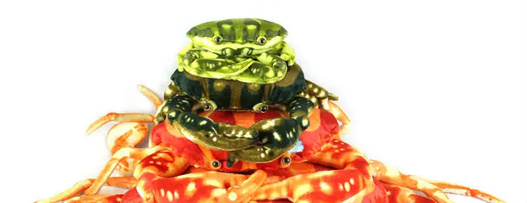 crab 12
