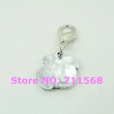 DG104BS