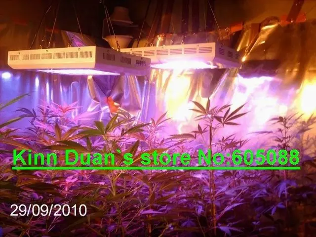  240w led grow light.jpg