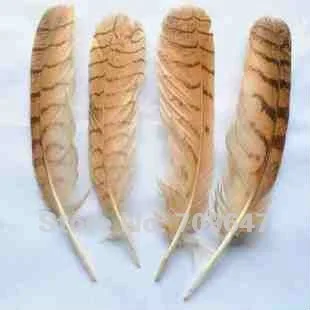 New arrival! 50pcs/Lot 20-25cm Nature Colour Owl Feathers Eagle Feathers Free shipping