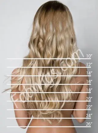 Hair length logo