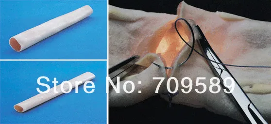 LV7 Intestinal Anastomosis.jpg