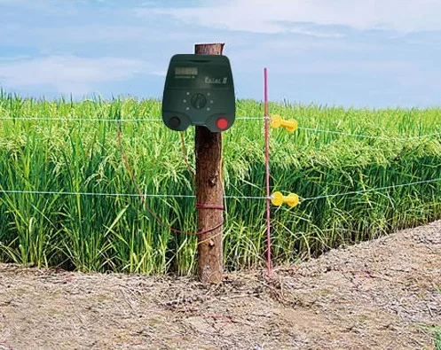 farm fencing energizer.jpg