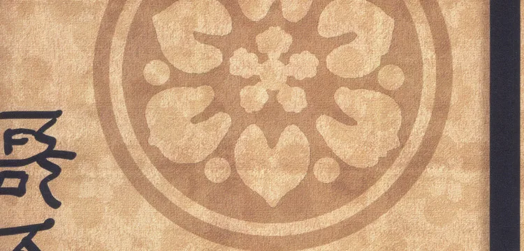 A3