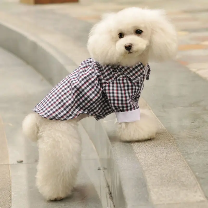 blank dog shirts wholesale