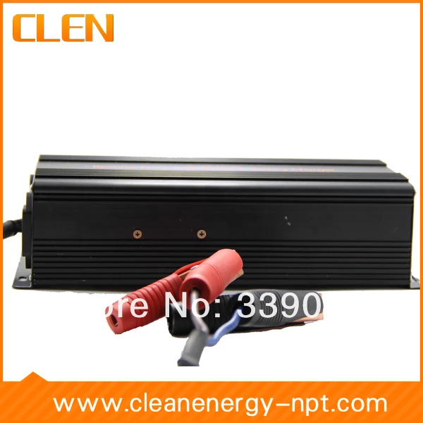 battery desulfator 12v.jpg