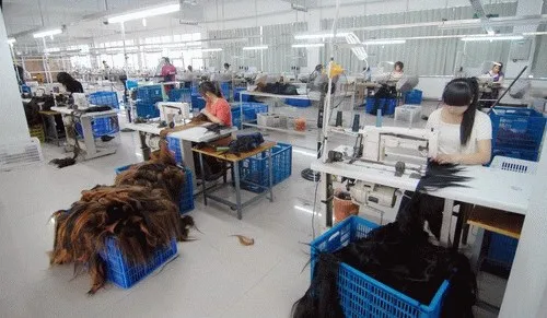 hair factory 4