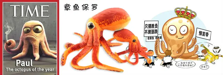 octopus 01