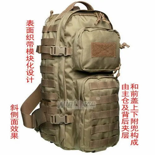 WS-10 _3