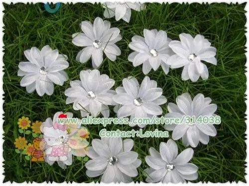 DSCN9766.jpg