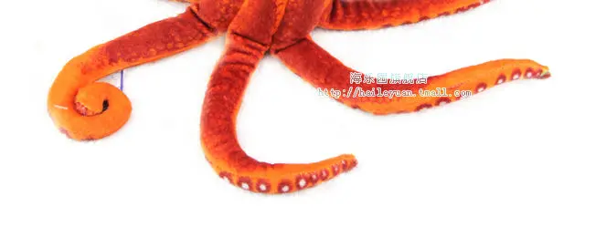 octopus 03