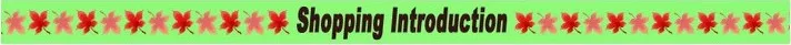 shopping introduction 1.jpg