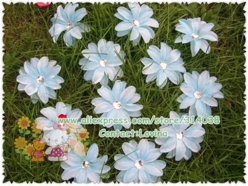 DSCN9765.jpg