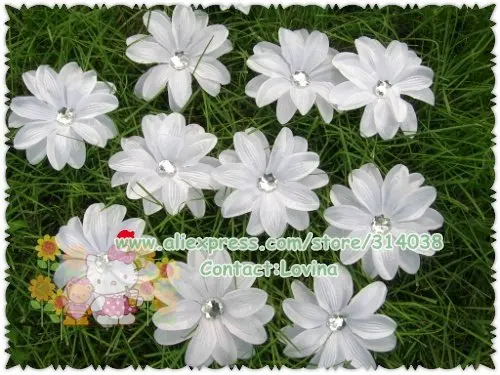 DSCN9767.jpg