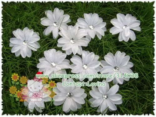 DSCN9768.jpg