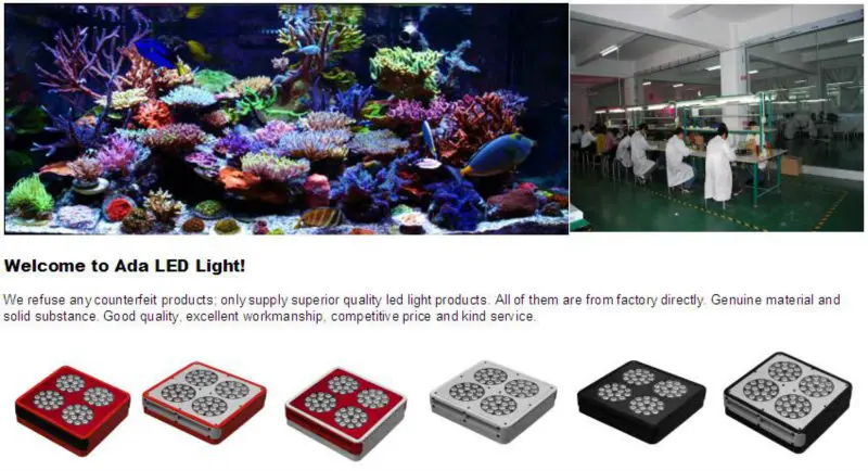 aquarium about us