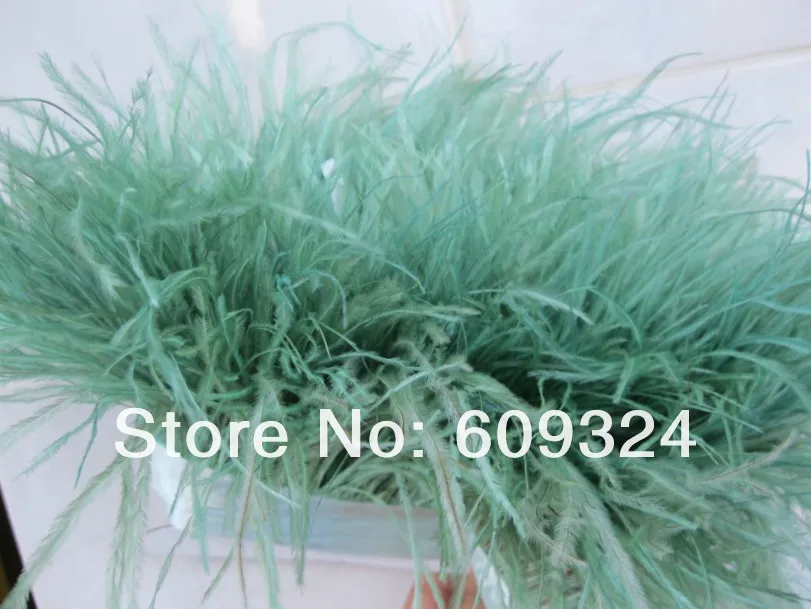 ostrich feather trim 3.jpg