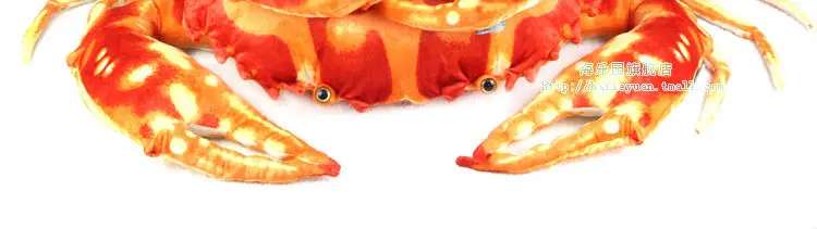crab 012