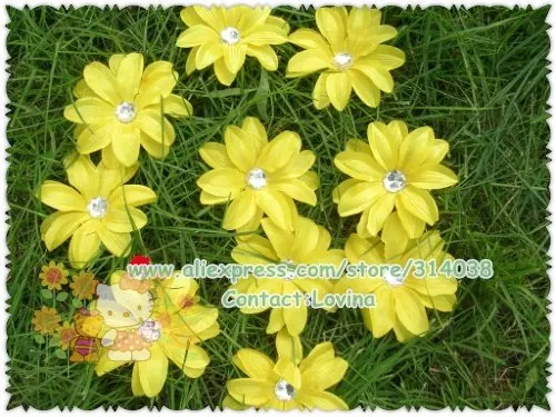 DSCN9773.jpg