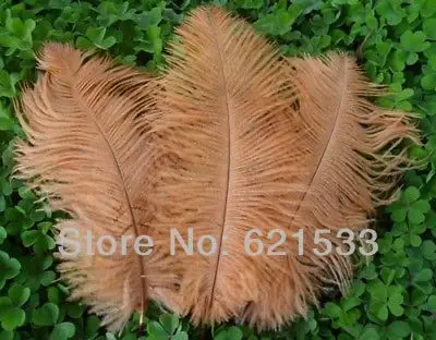 FO027