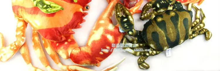 crab 013