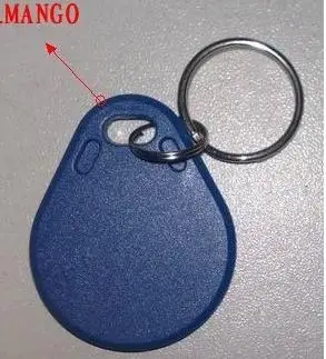mango no.3.jpg