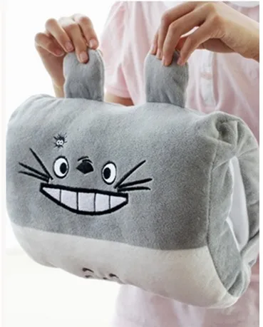 totoro (2)